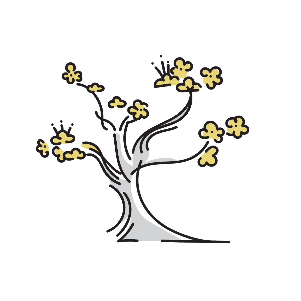 梅の木のイメージ